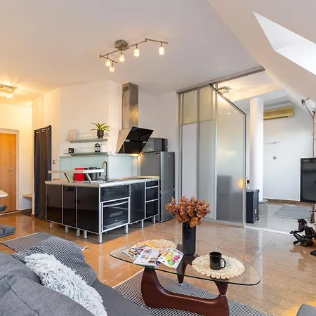 Royal Vista Apartment, Free Parking 布拉迪斯拉发